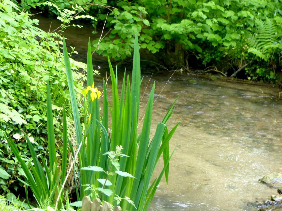CanaplesIci Et La别墅 外观 照片